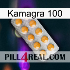 Kamagra 100 levitra1